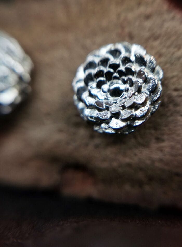 Sidabriniai jurginai – Paveikslėlis 2