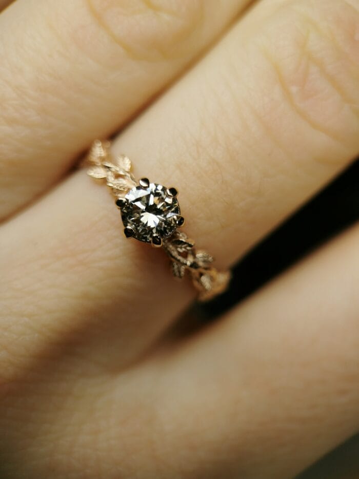 Rytmečio šviesa – Paveikslėlis 5