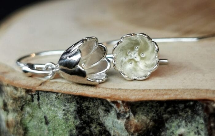 0649fc_1c7756bfe74243c0881fa31144fd30b0mv2.jpg Sidabrinės tulpės – Paveikslėlis 1