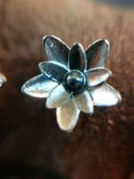 Sidabrinės vandens lelijos – Paveikslėlis 2