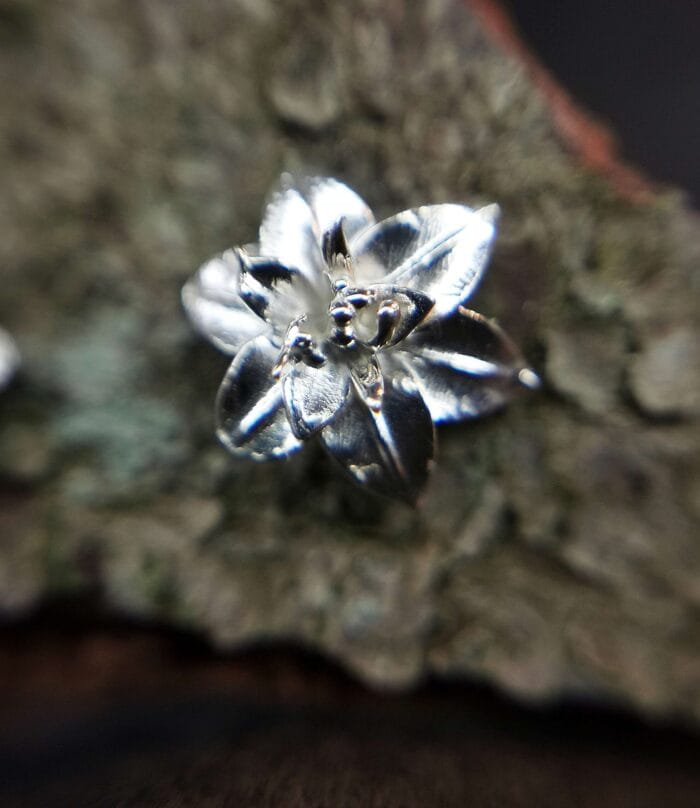 Sidabrinės lelijos – Paveikslėlis 2