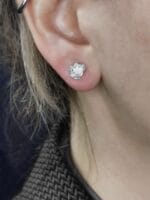 Sidabrinės plukės – Paveikslėlis 4