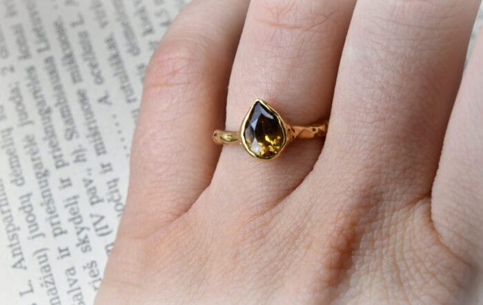 Žiedas Saulėgrįža – Paveikslėlis 3