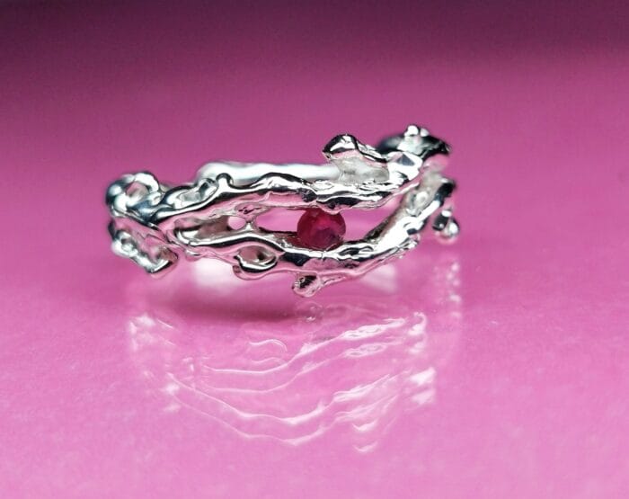 Koralas su rubinu – Paveikslėlis 1