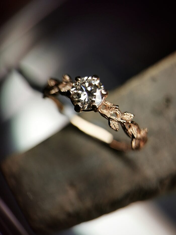 Rytmečio šviesa – Paveikslėlis 1