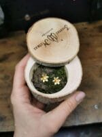 Auksuoti narcizai – Paveikslėlis 3