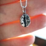 Sidabrinė kavos pupelė