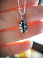 Sidabrinė kavos pupelė