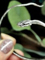 Žalčio apyrankė – Paveikslėlis 9