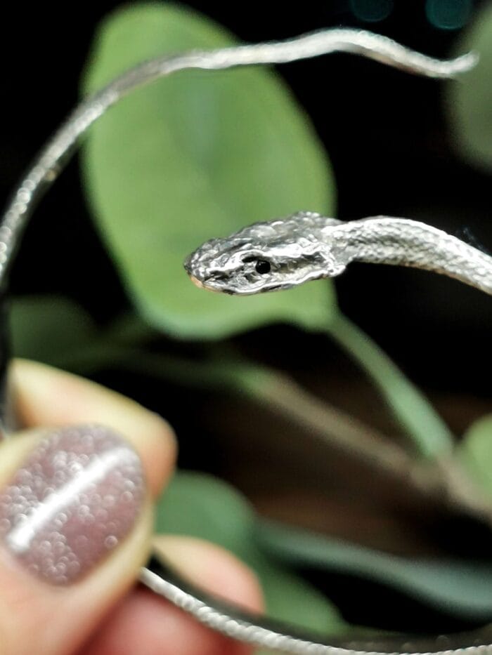 Žalčio apyrankė – Paveikslėlis 9