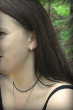 Mažosios sidabro eglutės – Paveikslėlis 3