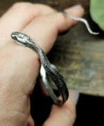 Žalčio apyrankė – Paveikslėlis 2