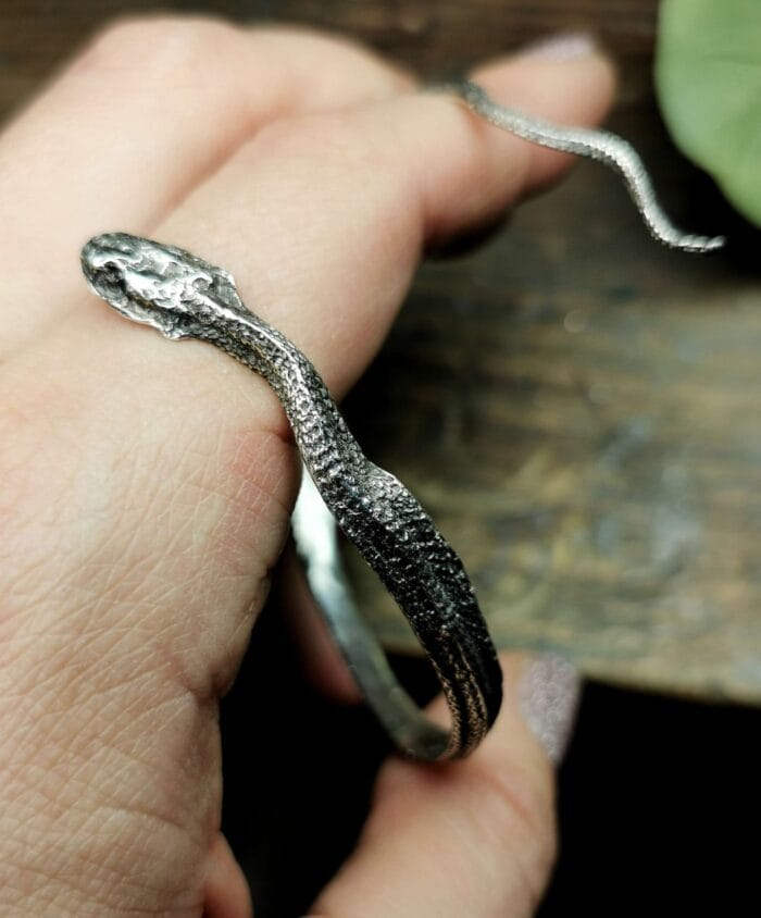 Žalčio apyrankė – Paveikslėlis 2