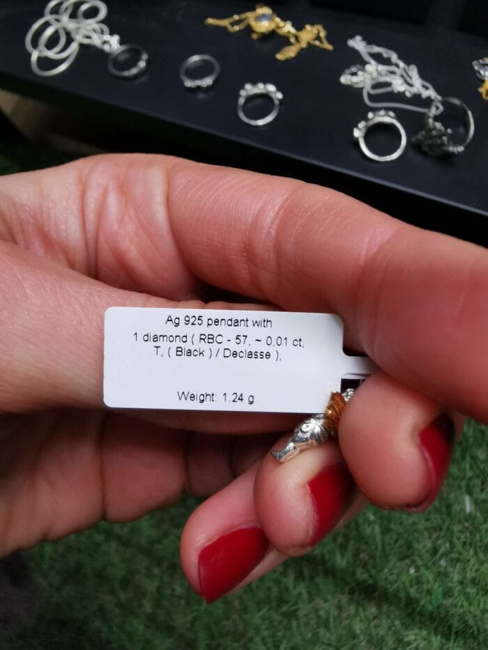 Dangiškasis globėjas III - Image 4