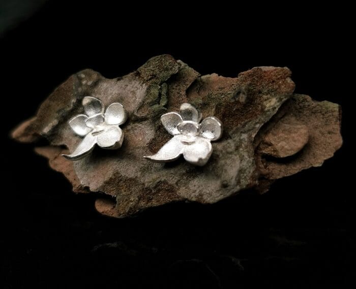 Sidabrinės orchidėjos – Paveikslėlis 3