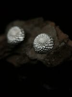 Sidabriniai jurginai – Paveikslėlis 3