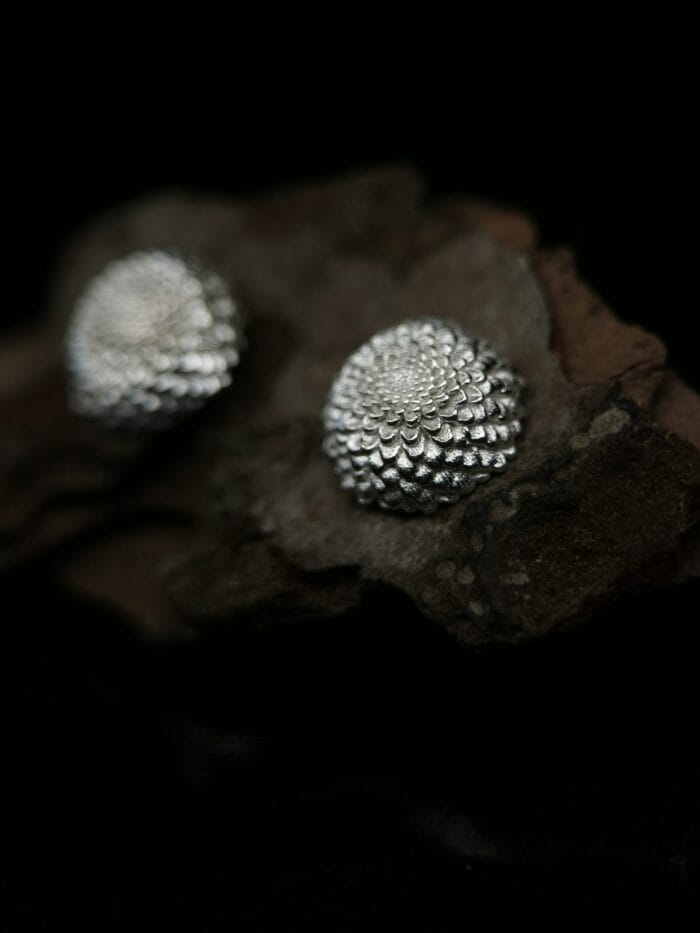 Sidabriniai jurginai – Paveikslėlis 3