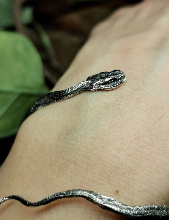 Žalčio apyrankė – Paveikslėlis 12