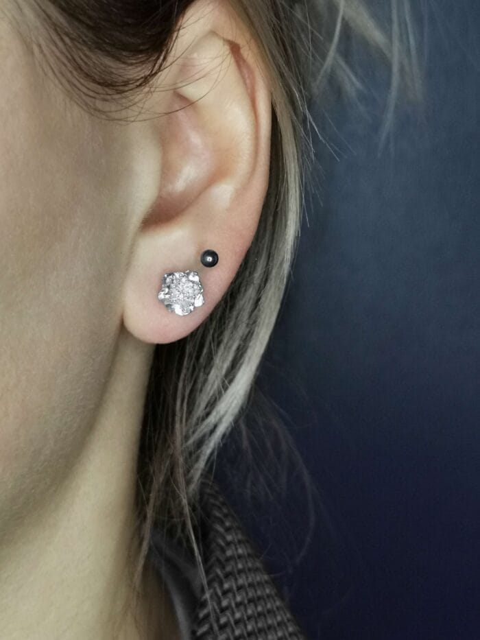 Sidabriniai gvazdikai - Image 3