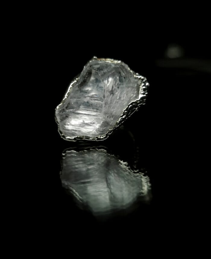 Arktis – Paveikslėlis 6