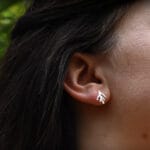 Mažosios sidabro eglutės