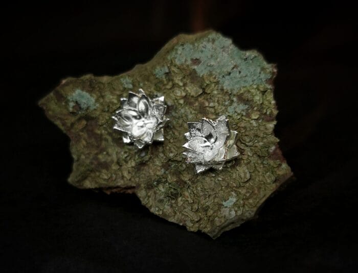 Sidabriniai lotusai – Paveikslėlis 1