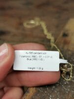 Dangiškasis globėjas / auksinis – Paveikslėlis 4