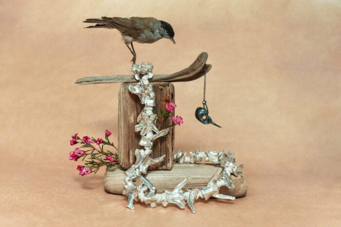 Kaulų karoliai - Image 7