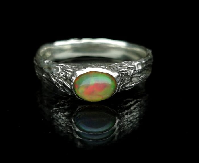 Vaivorykštė – Paveikslėlis 2