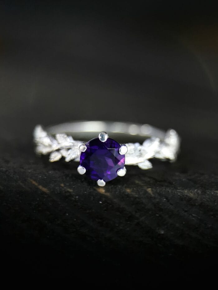 Rosa Obscura – Paveikslėlis 1