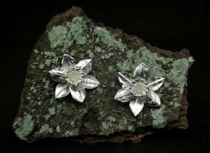 Sidabriniai narcizai – Paveikslėlis 2