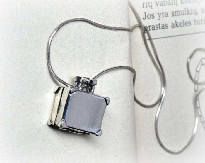 Sidabrinis lagaminas – Paveikslėlis 2