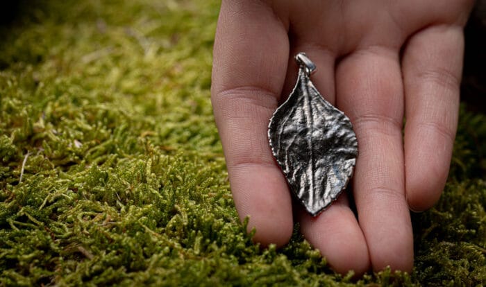 Augalo lapo pakabukas – Paveikslėlis 1