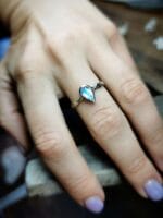 Mėnulio magija – Paveikslėlis 2