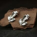 Sidabriniai dygialapiai bugieniai