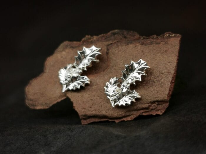 Sidabriniai dygialapiai bugieniai – Paveikslėlis 1