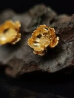 Auksuotos plukės - Image 3