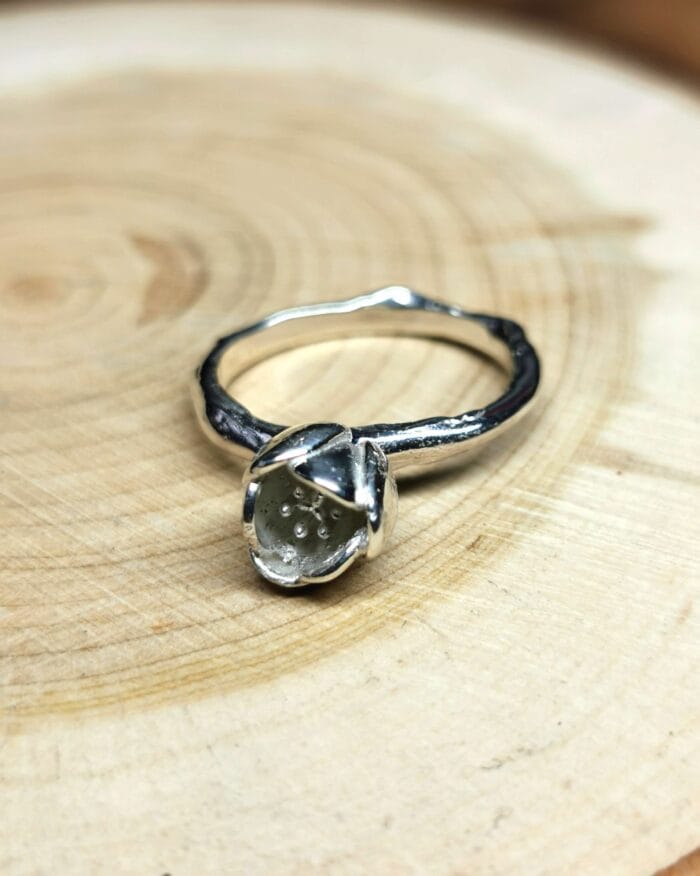 Žiedas žiedas – Paveikslėlis 1