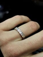 Augimas – Paveikslėlis 3