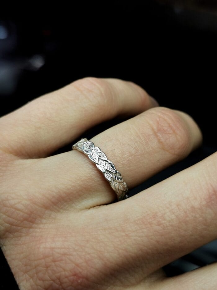 Augimas – Paveikslėlis 3