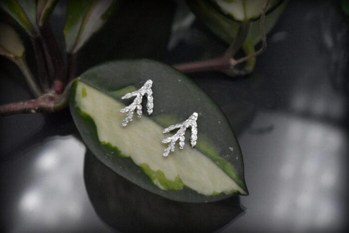 Mažosios sidabro eglutės – Paveikslėlis 2