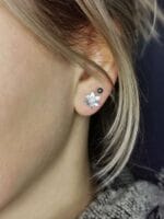 Sidabriniai narcizai – Paveikslėlis 5