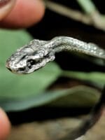 Žalčio apyrankė – Paveikslėlis 6