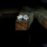 Nedideli apatitų auskarai