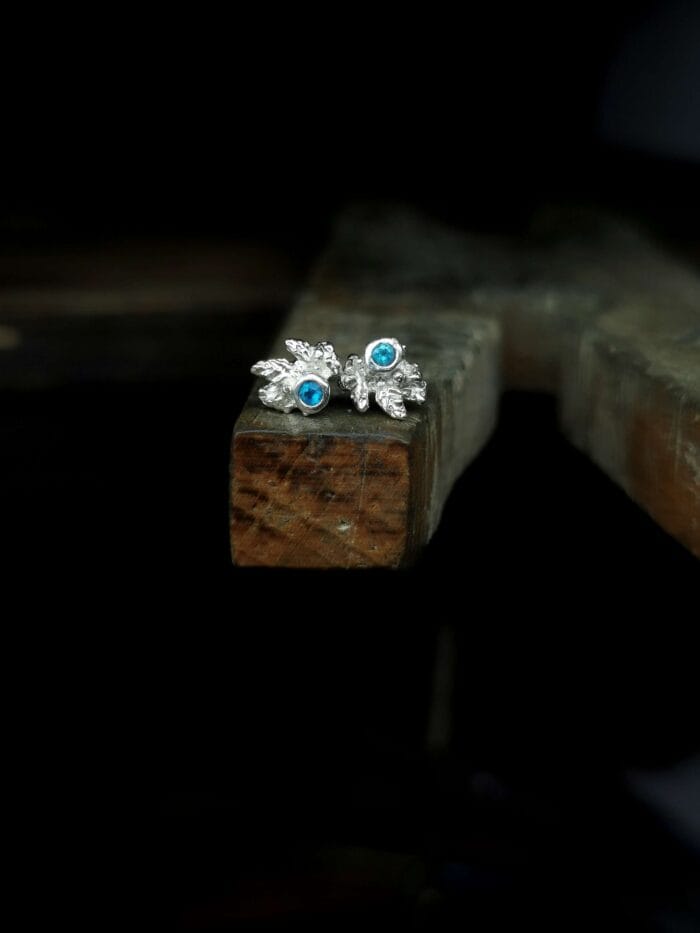 Nedideli apatitų auskarai – Paveikslėlis 1