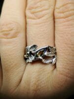 Audra – Paveikslėlis 3