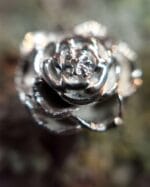 Sidabrinės rožės - Image 2