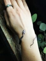 Žalčio apyrankė – Paveikslėlis 4