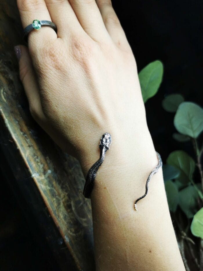 Žalčio apyrankė – Paveikslėlis 4