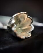 Sidabrinės tulpės – Paveikslėlis 3